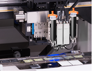 Dynamic Dual Head